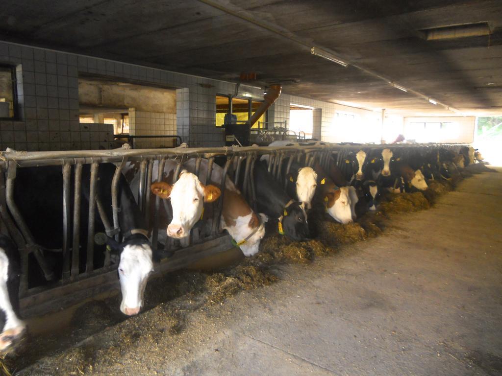 Ferienwohnung Am Bauernhof Strassonig Vulgo Hornis Moosburg Luaran gambar